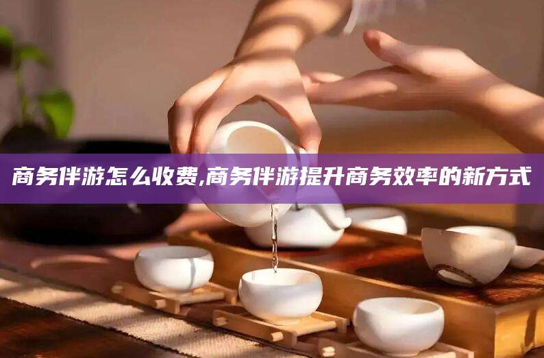 吴忠商务伴游怎么收费,商务伴游提升商务效率的新方式